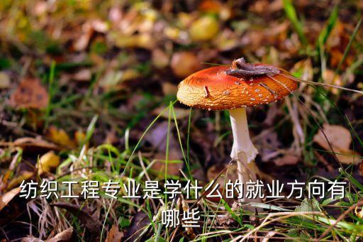  紡織工程專業(yè)是學什么的就業(yè)方向有哪些
