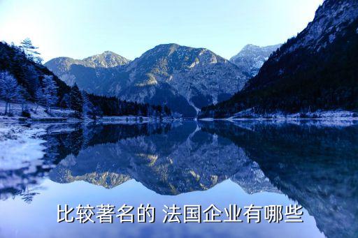 比較著名的 法國企業(yè)有哪些