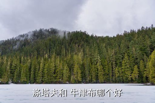 滌塔夫和 牛津布哪個好