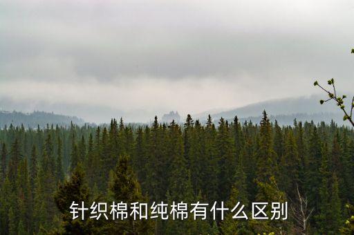 比利時針織棉面料優(yōu)點