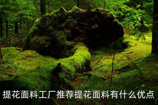 提花面料工廠推薦提花面料有什么優(yōu)點