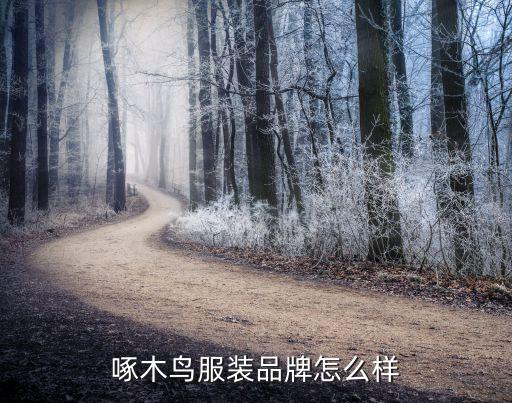 啄木鳥服裝品牌怎么樣