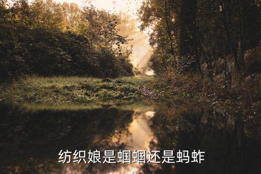  紡織娘是蟈蟈還是螞蚱