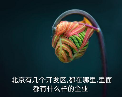  北京有幾個(gè)開發(fā)區(qū),都在哪里,里面都有什么樣的企業(yè)