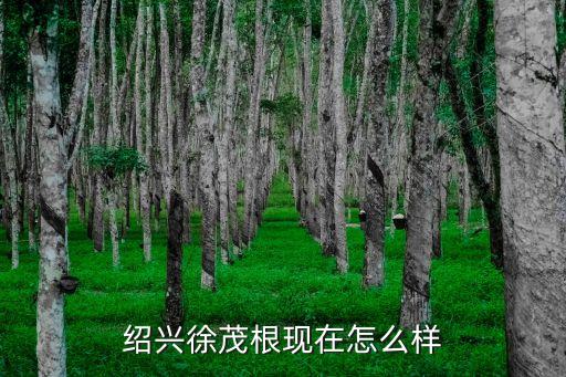紹興縣攜手紡織科技有限公司,山東潤東紡織科技有限公司