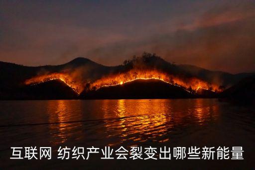 互聯(lián)網(wǎng) 紡織產(chǎn)業(yè)會裂變出哪些新能量
