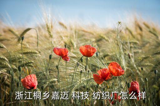  浙江桐鄉(xiāng)嘉邁 科技 紡織廠怎么樣