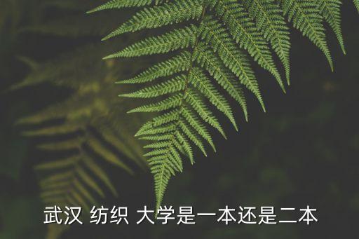 武漢紡織大學(xué)介紹