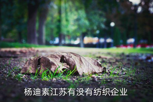 嘉興大山特種紡業(yè)有限公司 門市部怎么樣