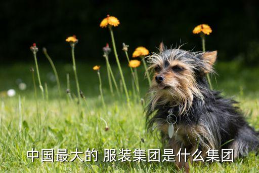 中國(guó)最大的 服裝集團(tuán)是什么集團(tuán)