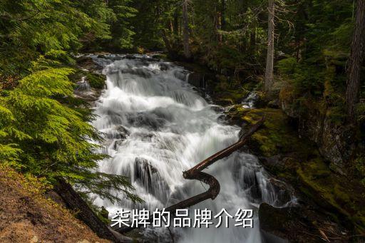 中國紡織服裝品牌網,華潤紡織男服裝品牌介紹