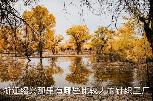 浙江紹興那里有哪些比較大的針織工廠