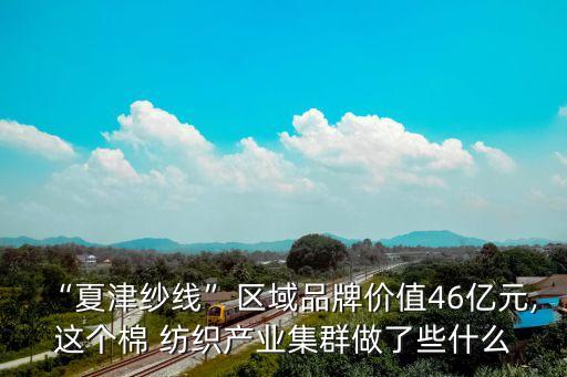 薩維奧紡織機(jī)械,青島薩維奧紡織機(jī)械有限公司