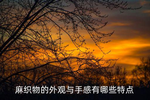 麻織物的外觀與手感有哪些特點(diǎn)