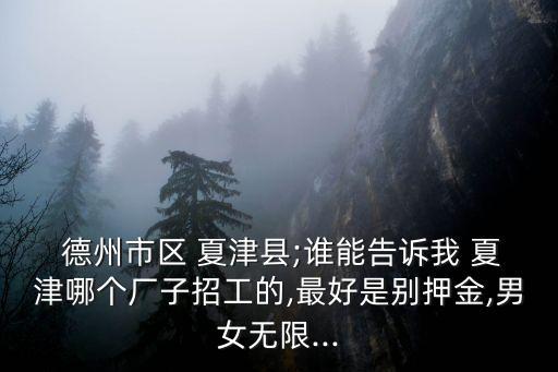  德州市區(qū) 夏津縣;誰(shuí)能告訴我 夏津哪個(gè)廠子招工的,最好是別押金,男女無(wú)限...