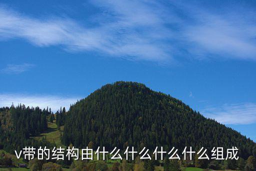 v帶的結構由什么什么什么什么組成