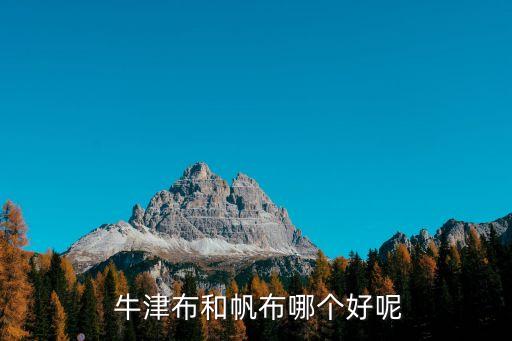  牛津布和帆布哪個好呢