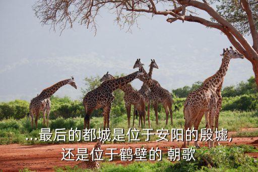 ...最后的都城是位于安陽的殷墟,還是位于鶴壁的 朝歌