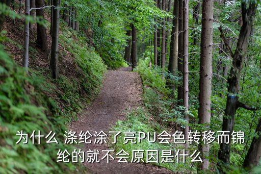 為什么 滌綸涂了亮PU會色轉(zhuǎn)移而錦綸的就不會原因是什么