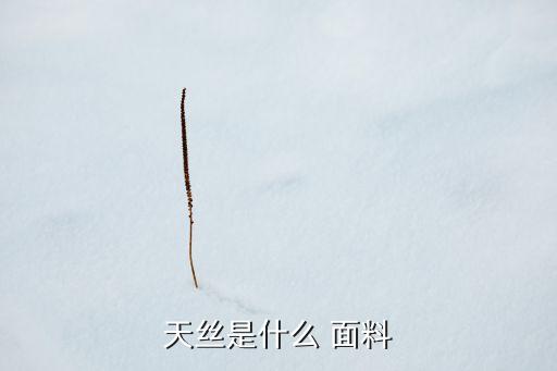 天絲棉面料的成分,仿絲棉是什么面料成分