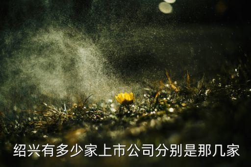  紹興有多少家上市公司分別是那幾家