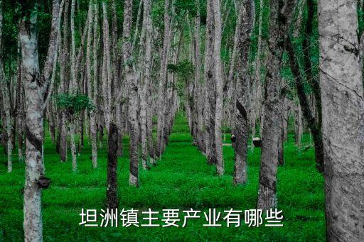 湖北紡織第一鎮(zhèn),湖北精華紡織集團(tuán)