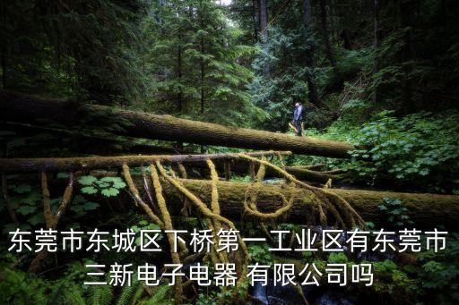 東莞市東城區(qū)下橋第一工業(yè)區(qū)有東莞市三新電子電器 有限公司嗎