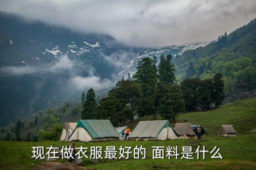現(xiàn)在做衣服最好的 面料是什么