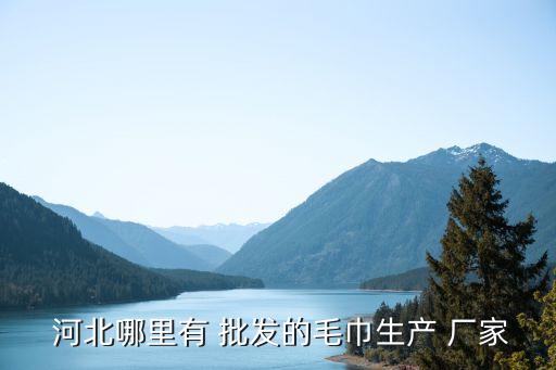 河北非紡織無紡布批發(fā)廠家,河北包裝用無紡布批發(fā)