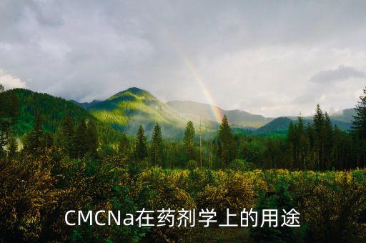 CMCNa在藥劑學(xué)上的用途