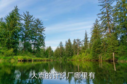 大點的針織廠哪里有