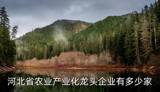 唐龍紡織