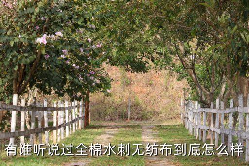 有誰聽說過全棉水刺無紡布到底怎么樣