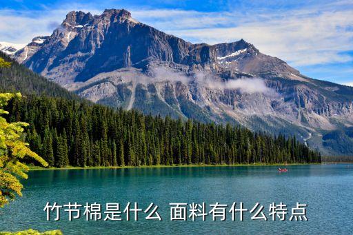 竹棉面料,什么是玉竹棉面料