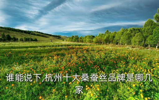誰能說下,杭州十大桑蠶絲品牌是哪幾家