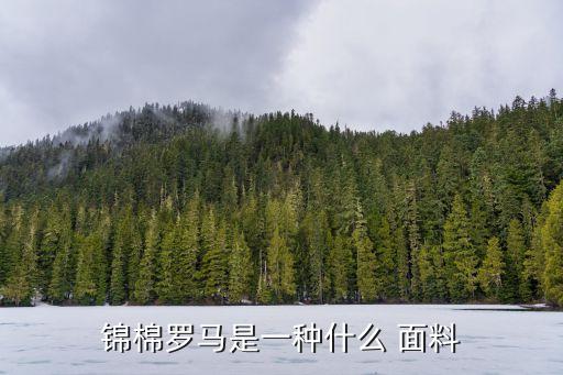 錦棉羅馬是一種什么 面料