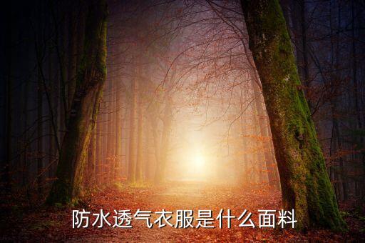  防水透氣衣服是什么面料