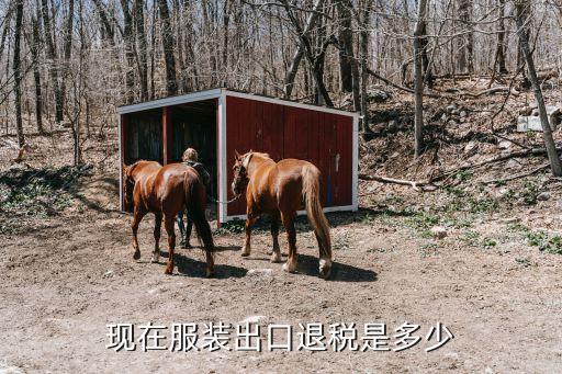 現(xiàn)在服裝出口退稅是多少