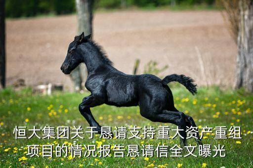  恒大集團(tuán)關(guān)于懇請支持重大資產(chǎn)重組項(xiàng)目的情況報(bào)告懇請信全文曝光