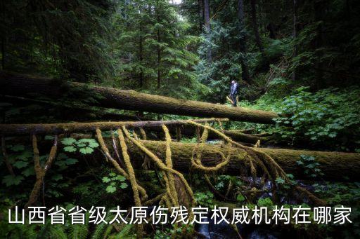 山西省省級(jí)太原傷殘定權(quán)威機(jī)構(gòu)在哪家