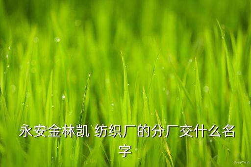 永安田龍紡織近況