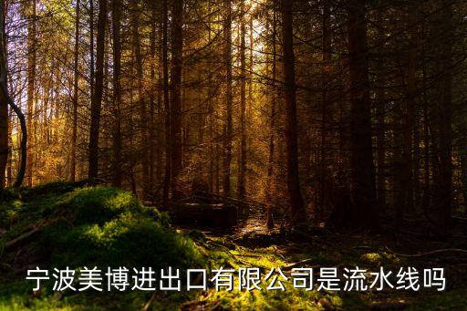  寧波美博進出口有限公司是流水線嗎