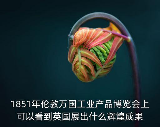 1851年倫敦萬國工業(yè)產(chǎn)品博覽會上可以看到英國展出什么輝煌成果
