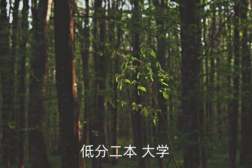 低分二本 大學(xué)
