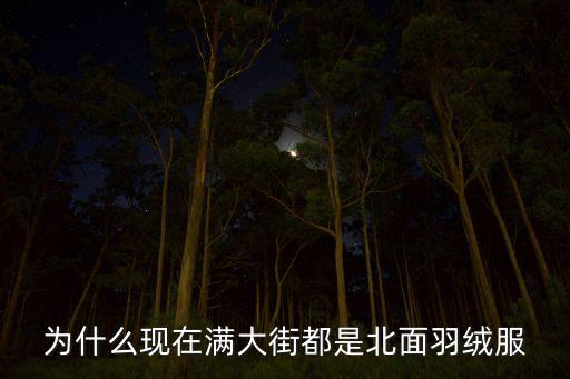 為什么現(xiàn)在滿大街都是北面羽絨服