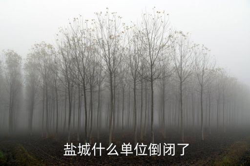  鹽城什么單位倒閉了