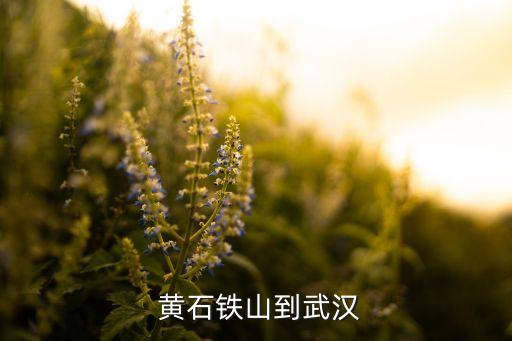  黃石鐵山到武漢