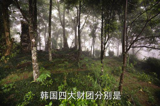  韓國四大財(cái)團(tuán)分別是