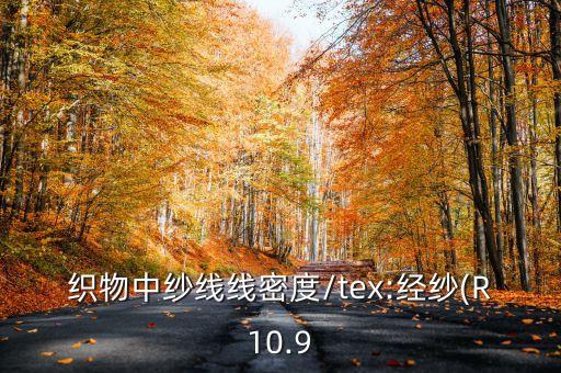 織物中紗線線密度/tex:經(jīng)紗(R10.9