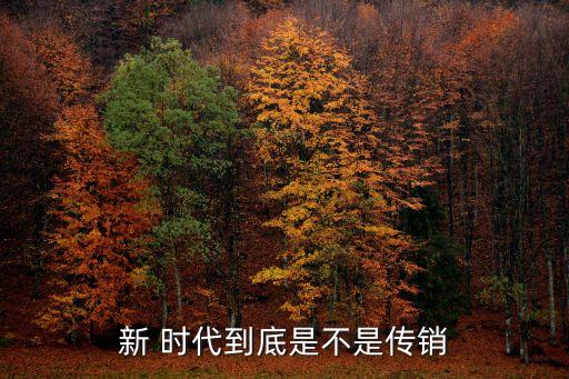 新 時代到底是不是傳銷